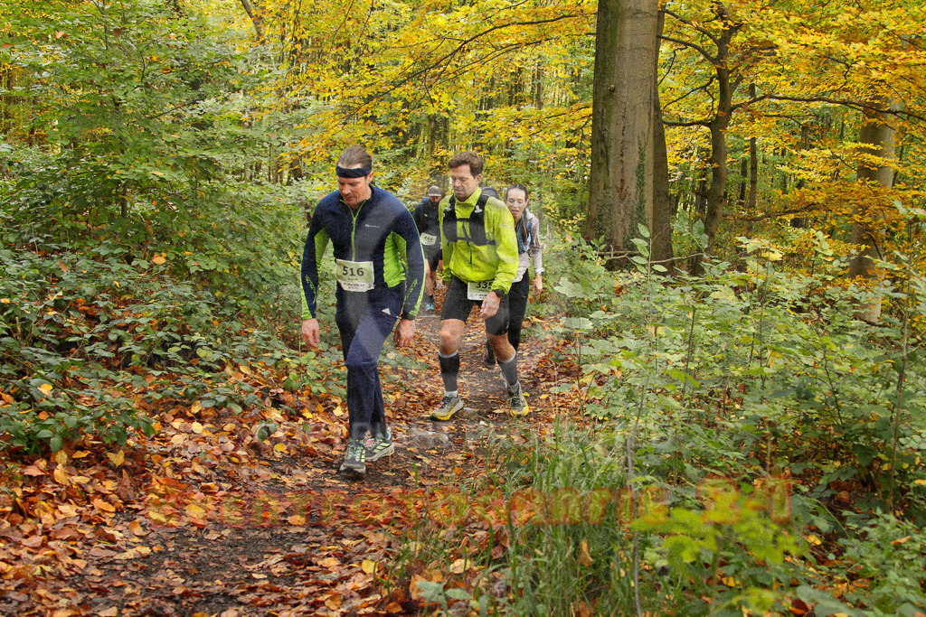 251026_1245_EV4_5732 | Sportfotografie im Rhein-Sieg Kreis, Köln, Bonn, NRW, Rheinland Pfalz, Hessen, etc. Unser Tätigkeitsfeld umfasst den Laufsport vom Volkslauf über den Marathon, Duathlon, Triathon bis zum Ultralauf wie Kölnpfad Ultra oder Schindertrail.