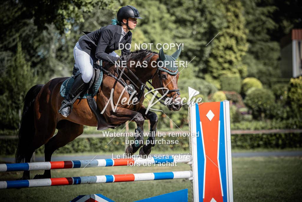 nelerasche_SprL115Ede_95 | nelerasche
