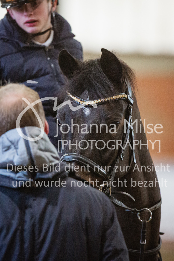 221127_Winterfestival_L-Spr_HPTTY-298 | Deine schönsten Turniermomente als professionelle Fotos! Entdecke hochwertige Pferdesport-Fotografie im Online-Shop. Jetzt Fotos finden & bestellen!