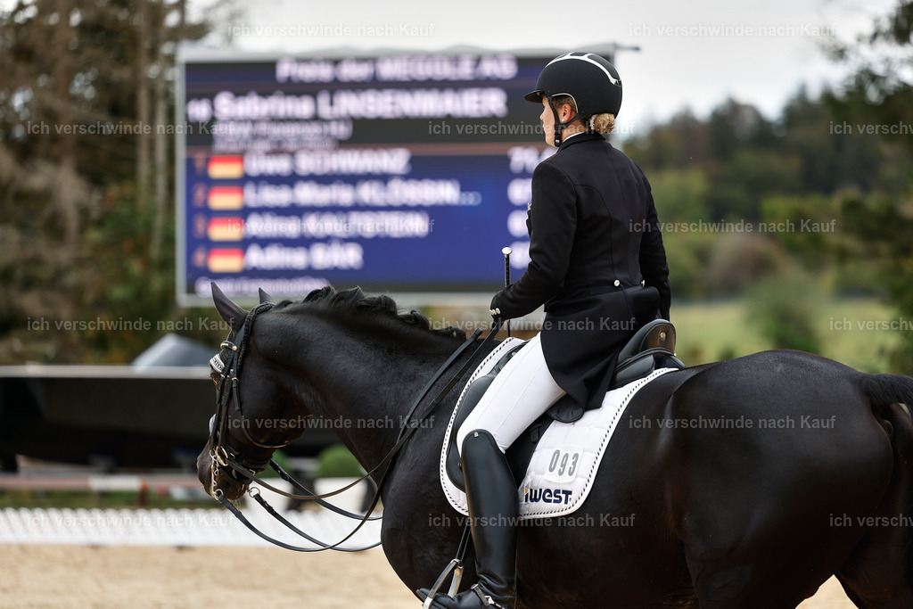 11-093-Dressur S___-StoibPH-1355 | working equitationturnier fotograf videograf stoibphotography marixx film working equitation deutschland reitsport turnierfotografie eventfotografie equestrian events