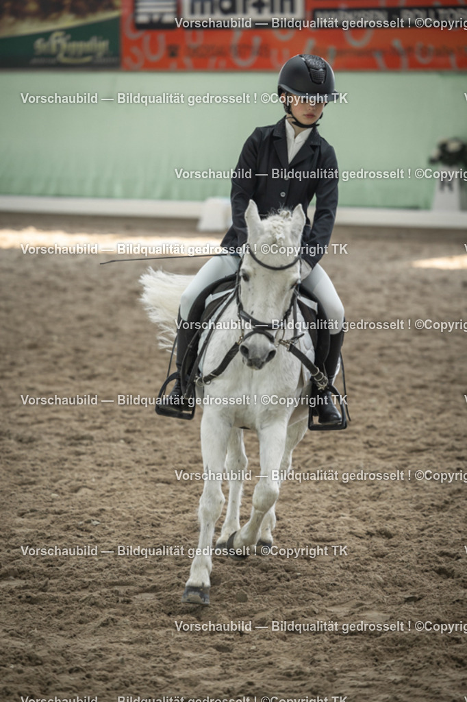 _D5A5694 | Emotionale Pferde- & People-Fotografie rund um Heidelberg, Leimen & Umgebung. Natürliche Fotos von Pferd, Mensch & Familie. Jetzt Termin sichern!