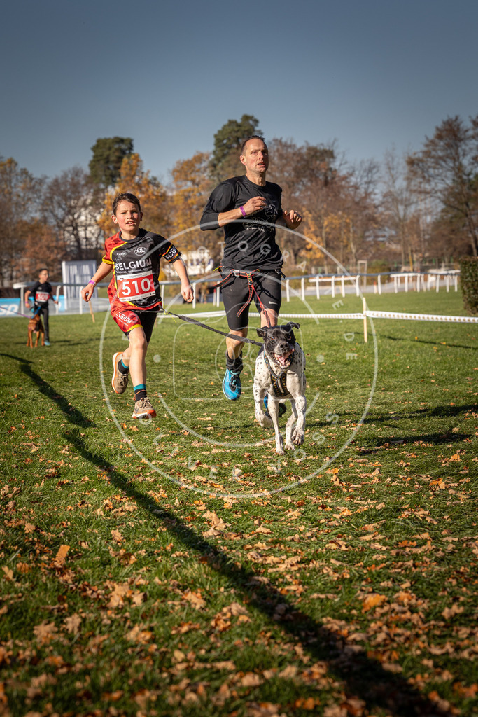 CaniXpix_0L8A6786 | Hundefotografie, Tierfotograf, Pfotenfotografie, Fotoshooting Hund, Hunde Portrait, Hundesport, Hundeportraits, Heideshooting, Hunde, Sportfotograf, Hundefotograf, Turnierhundsport, THS,  - Realisiert mit Pictrs.com