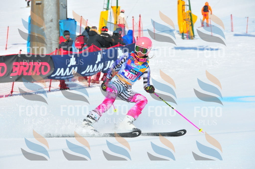 DSC_4934 | holidayphoto