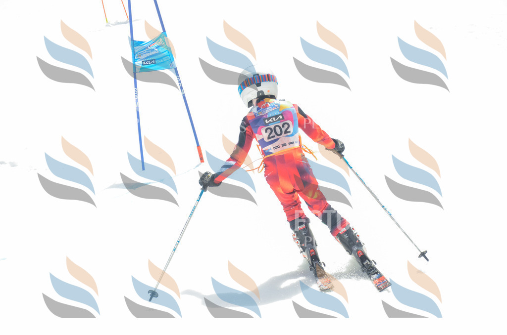 _ELE6935 | holidayphoto