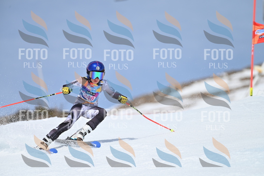 BGV_1837 | holidayphoto