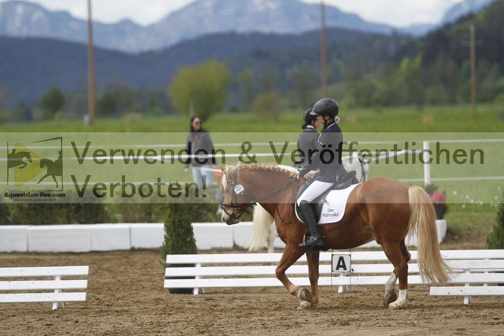 _MG_2927 | equestrian-live-com