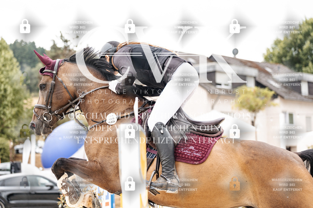 CK906170 | Turnierfotografie Pferdefotografie Trier Rheinland-Pfalz Pferdesport Reitsport Tierfotografie Sportfotografie Pferdevideo Pferdevideografie Equestrianvideography equestrianphotography  - Realisiert mit Pictrs.com