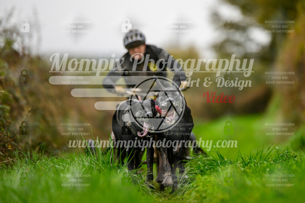 MompixPhotography_20TSB_E8_Kart-17 | PayLife