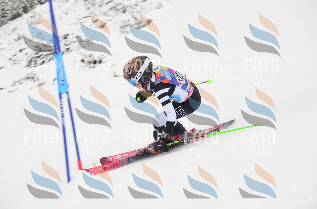 C1564 | holidayphoto