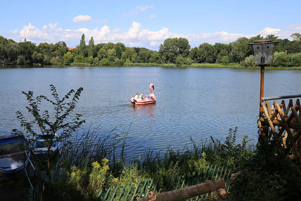 Foto: Leipzig - Auensee | Das Team hinter BILDLEXIKON LEIPZIG bündelt historische wie aktuelle Informationen über die Stadt Leipzig in Text und Bild auf einer Plattform und stellt diese der interessierten Öffentlichkeit zur Verfügung.