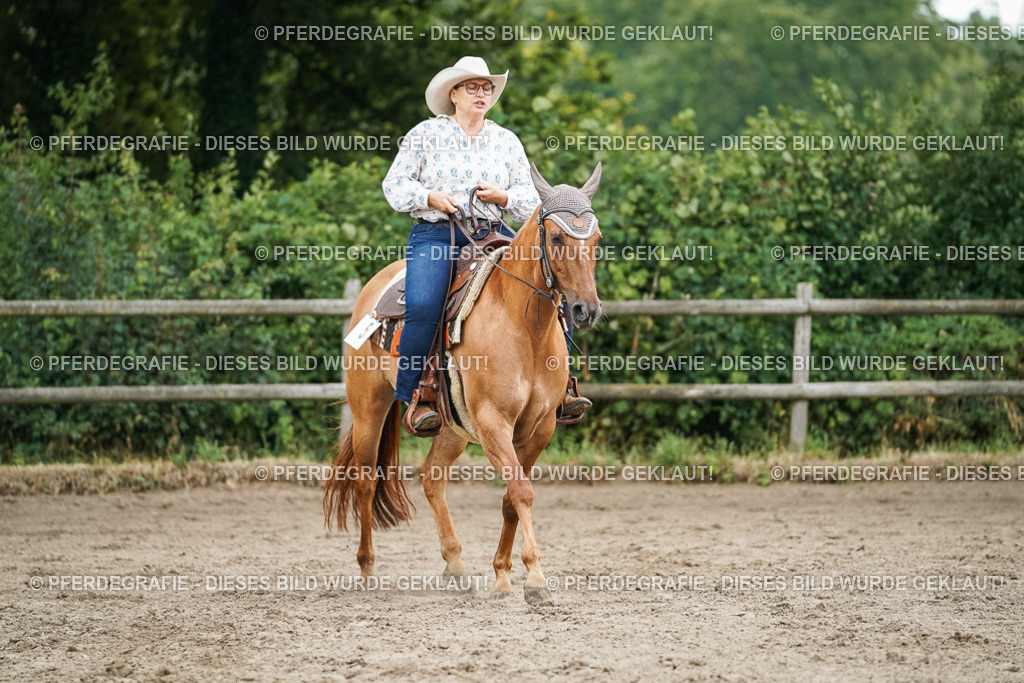 DSC04023 | Pferdegrafie