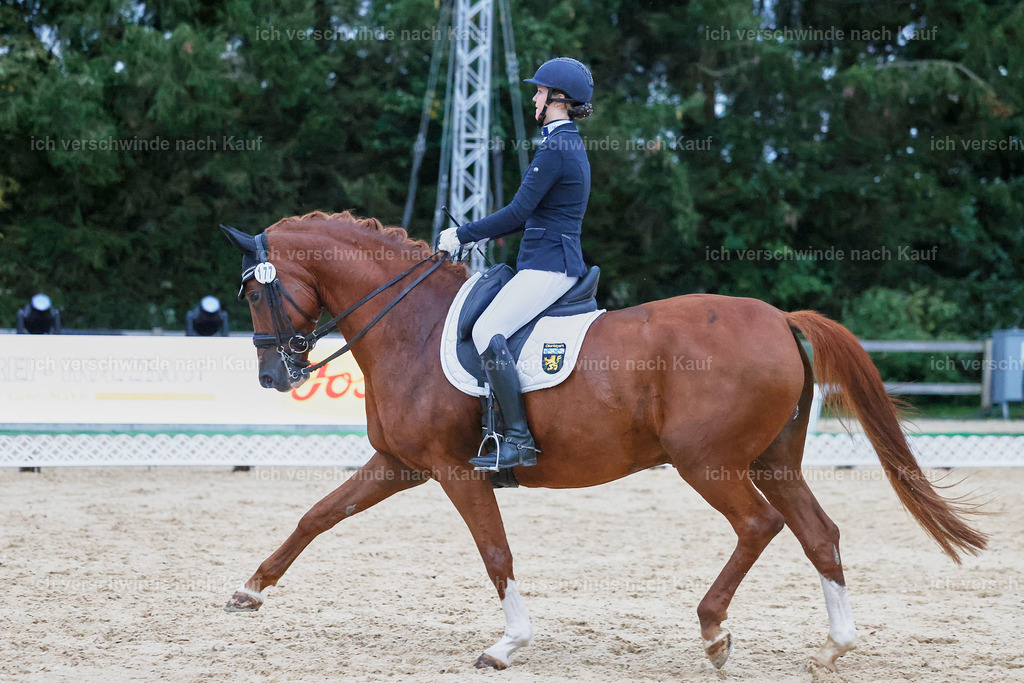 04_2-177-Dressur M__ -StoibPH-3020 | working equitationturnier fotograf videograf stoibphotography marixx film working equitation deutschland reitsport turnierfotografie eventfotografie equestrian events
