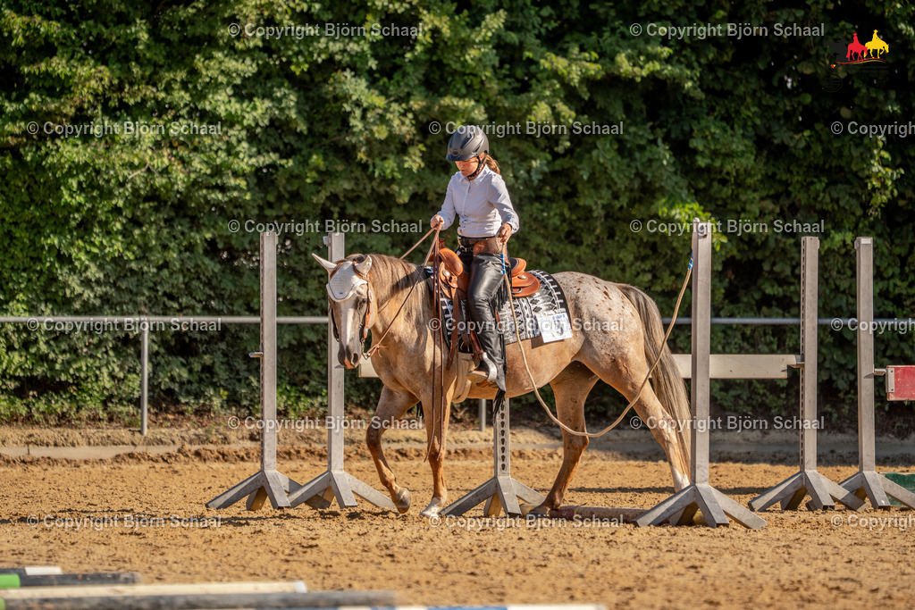 LMS04828 | BS-foto