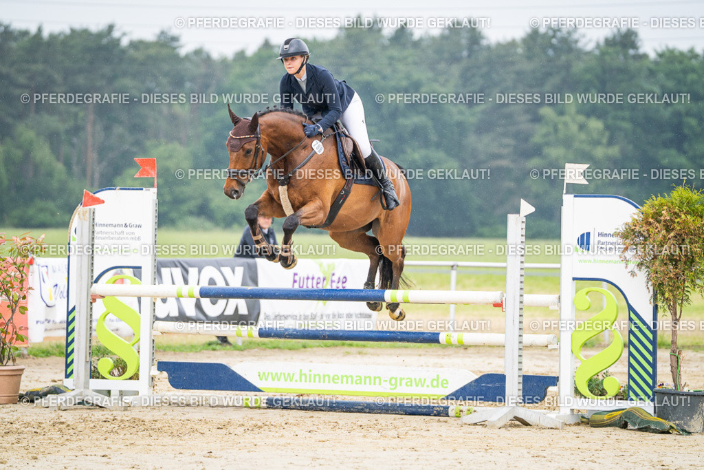 DSC00864 | Pferdegrafie