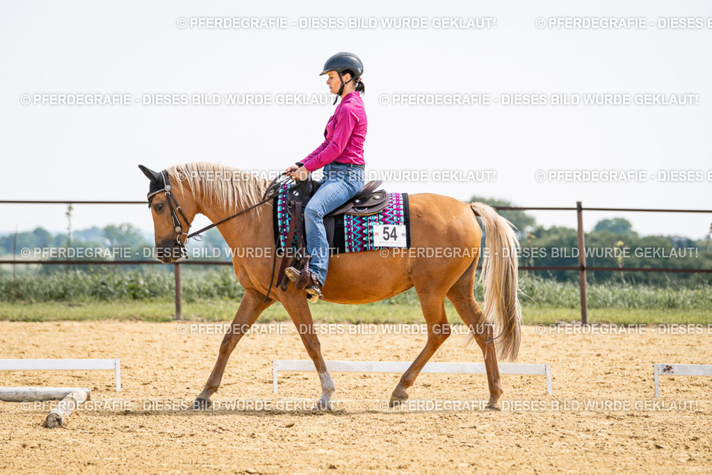 DSC00292 | Pferdegrafie