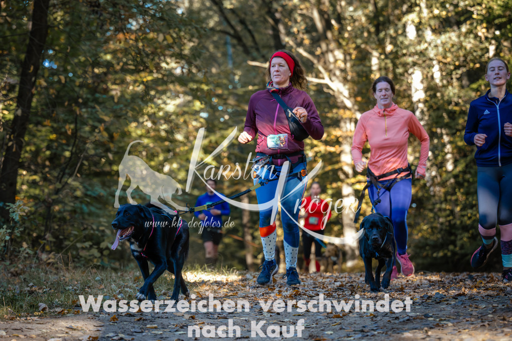 1017_ZZ99594 | kk-dogfotos