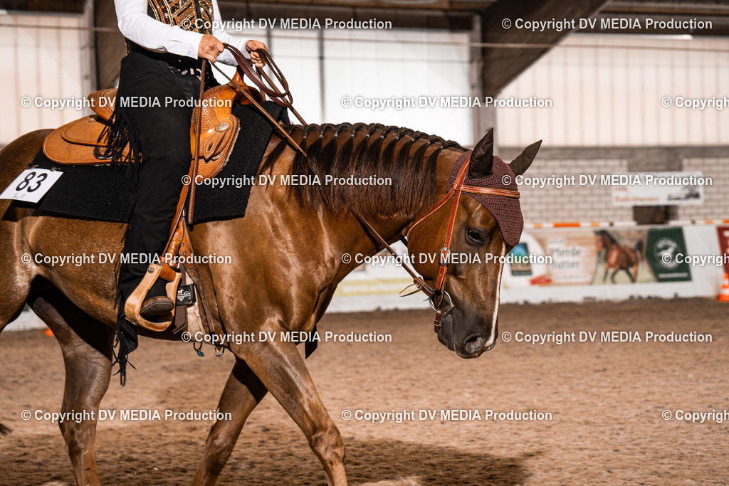 ZH100202 | dv-media-shop - Realisiert mit Pictrs.com