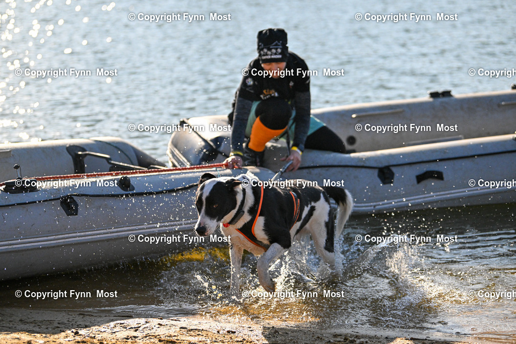 DSC_8135 | Hallo und herzlich Willkommen auf meiner Shop-Seite Fynn Most.

Ich wünsche Dir viel Spaß beim stöbern durch die Bilder, wenn Du Fragen hast oder Bilder vermisst, kannst du mir gerne eine Nachricht schreiben. - Realisiert mit Pictrs.com