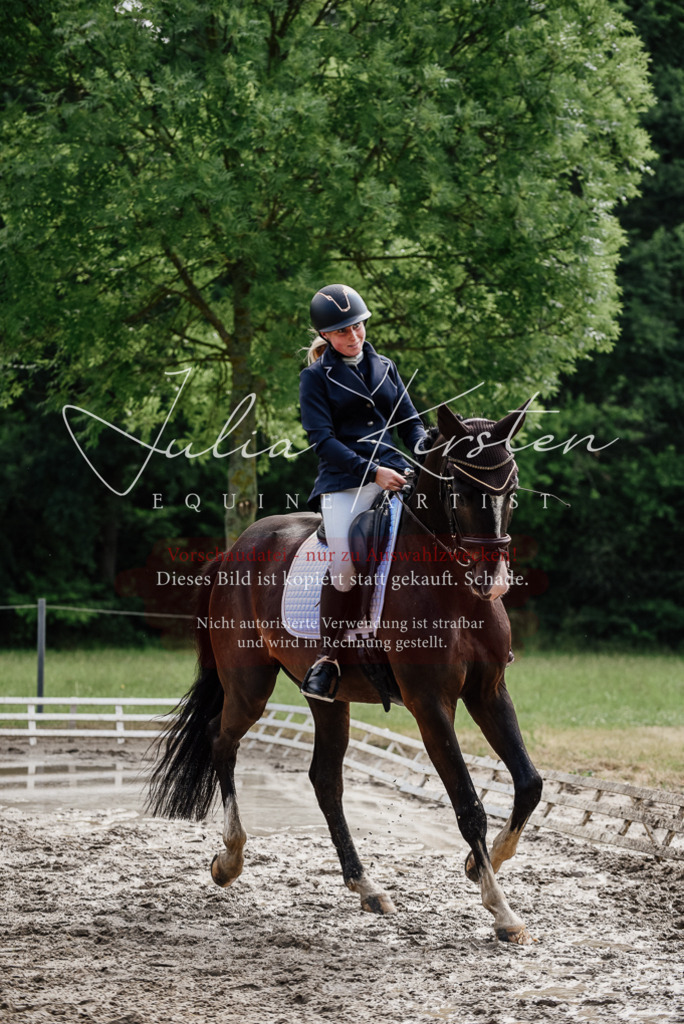 DSC_0074 | Pferde- und Turnierfotografie in Westsachsen. Pferdeportraits, Auftragszeichnungen und intuitive Kunst.