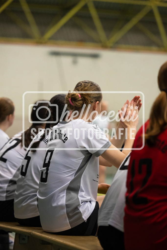 Handball I Frauen I TSG Burg Gretesch - TV 01 Bohmte I 3.4.2026-44 | realhellocedii - Realisiert mit Pictrs.com