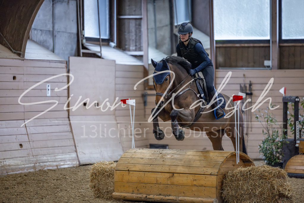 20260221-_3LI9296 | Tierfotografie Pferde, Hunde, Katzen, Haustiere.
Turnierfotografie Reitturniere, Reiten, Springreiten, Dressur in Hanau, dem Main-Kinzig-Kreis und dem Rhein-Main- Gebiet um Frankfurt