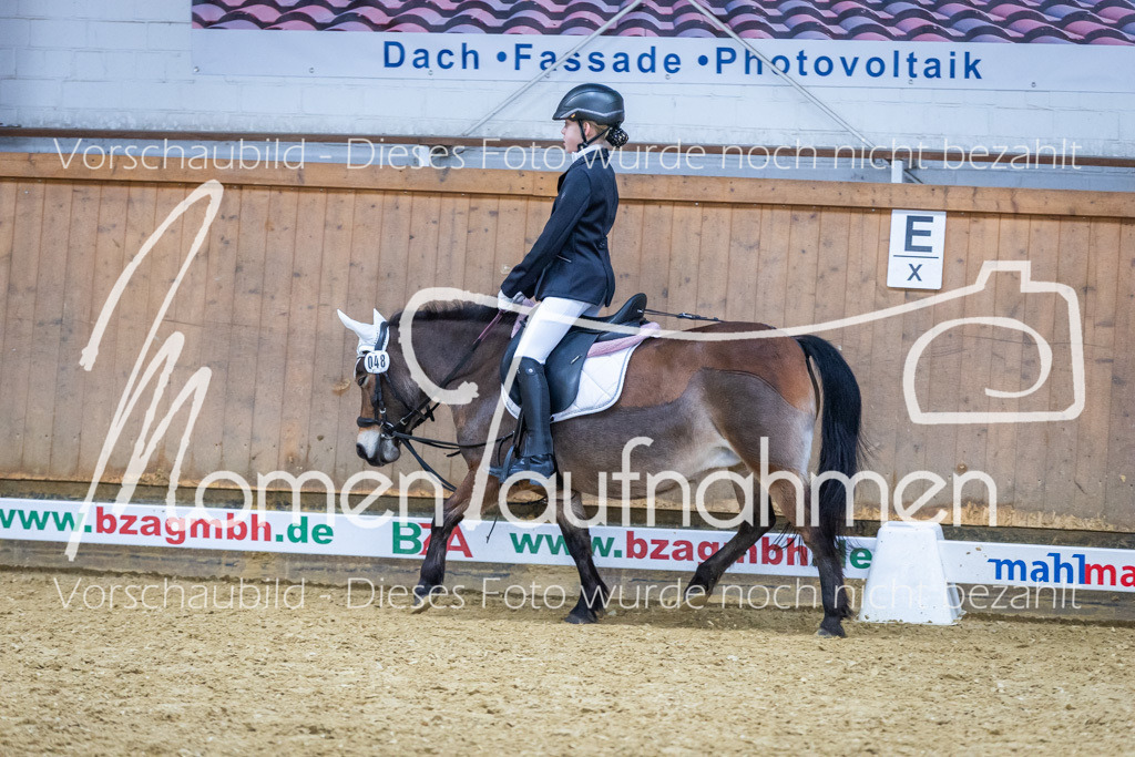 Sth-WBO25-RWBST-036 | MomenTaufnahmen Pferdesportfotos