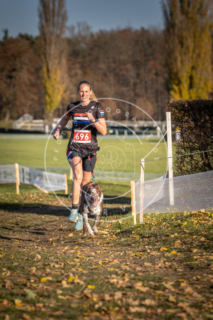 CaniXpix_DV3A1408 | Hundefotografie, Tierfotograf, Pfotenfotografie, Fotoshooting Hund, Hunde Portrait, Hundesport, Hundeportraits, Heideshooting, Hunde, Sportfotograf, Hundefotograf, Turnierhundsport, THS,  - Realisiert mit Pictrs.com
