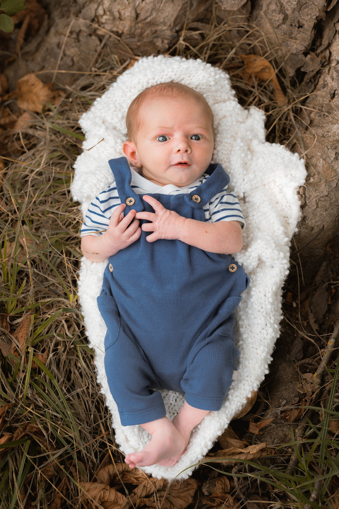 ZD260823162823 | Fotoshop von zweidimensional Fotografie. Ihr Fotograf im Aargau. Abzüge von Ihrem Fotobox Event bestellen.Abzüge von Ihrem Hochzeit bestellen.Abzüge von Ihrem Schulfotograf bestellen.