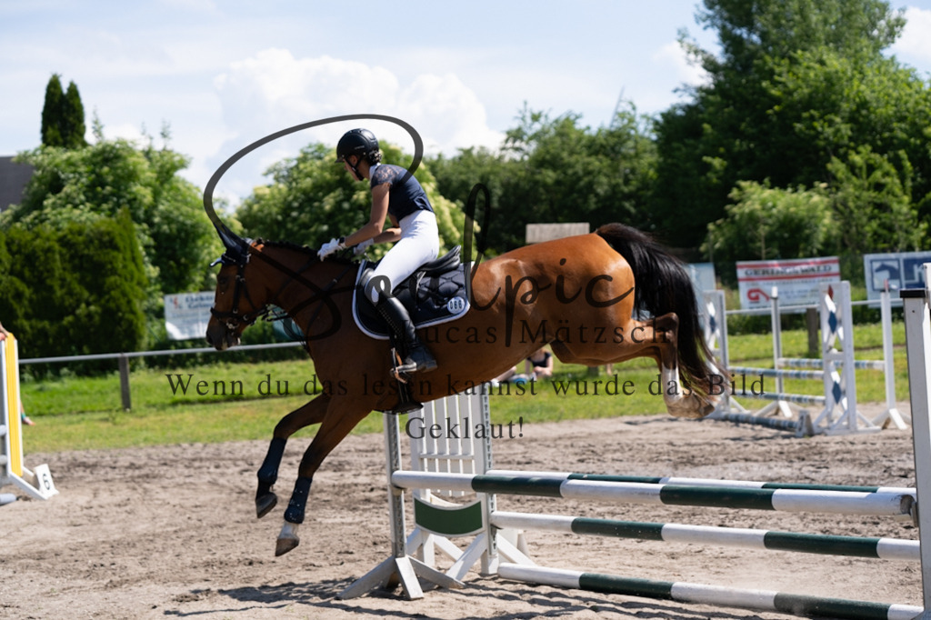 A7V03296 | Pferdefotograf