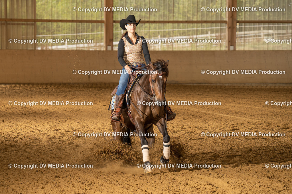 LAU01497 | dv-media-shop - Realisiert mit Pictrs.com