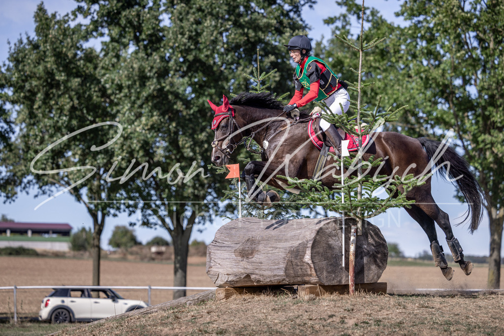 20260906-_3LI6028 | Tierfotografie Pferde, Hunde, Katzen, Haustiere.
Turnierfotografie Reitturniere, Reiten, Springreiten, Dressur in Hanau, dem Main-Kinzig-Kreis und dem Rhein-Main- Gebiet um Frankfurt