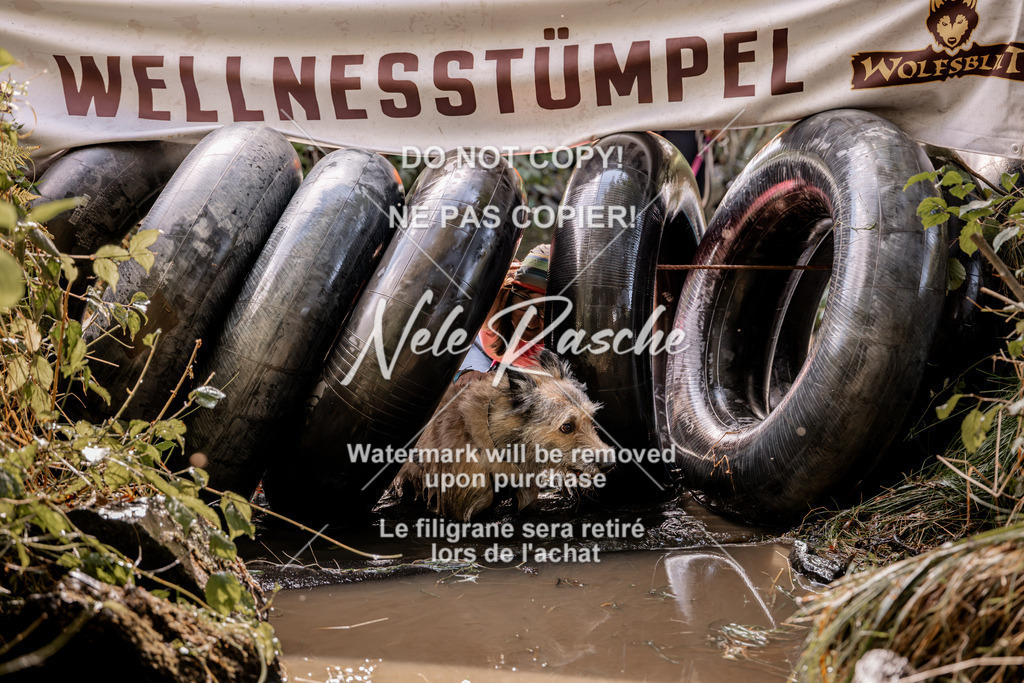 nelerasche_Hunsrück2026_Sa1400-1500_223 | nelerasche