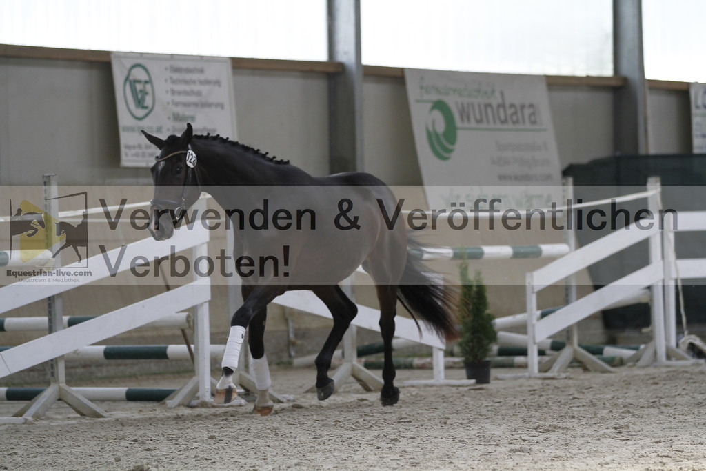 _MG_9841 | equestrian-live-com