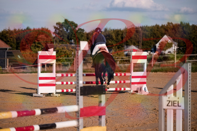 2026_10_03_Siefer-Hof_171552_Z81_13608983 | Professionelle Reitsport-, Turnier- und Eventfotografie von Robert Broda. Galerien mit ausgewählten und bearbeiteten Bildern direkt online ansehen und bestellen.