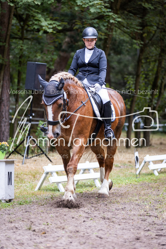 HB-Reiter-WB-032 | MomenTaufnahmen Pferdesportfotos