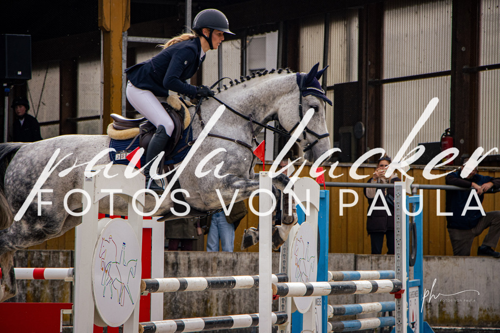 IMG_4417 | Erleben Sie dynamische Sport- und emotionale Tierfotografie in Süddeutschland mit Fotos von Paula. Spezialisiert auf Pferde- und Hundefotografie sowie Sportevents. Kontaktieren Sie mich für einzigartige und ausdrucksstarke Bilder Ihrer besonderen Momente. - Realisiert mit Pictrs.com
