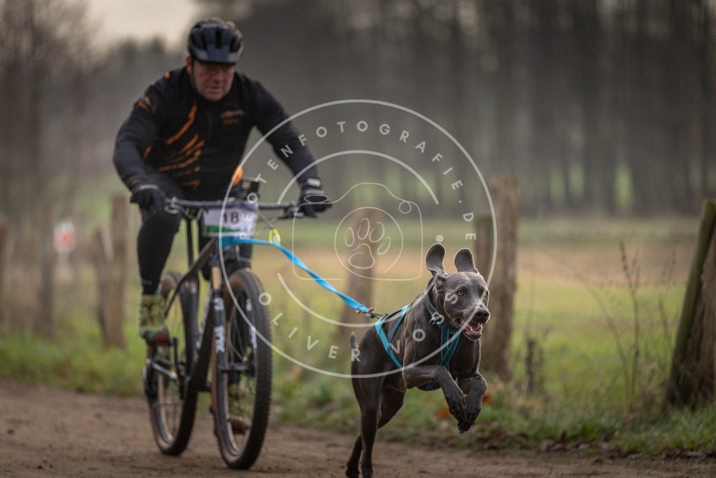 Pfotenfotografie_DV3A1929 | Hundefotografie, Tierfotograf, Pfotenfotografie, Fotoshooting Hund, Hunde Portrait, Hundesport, Hundeportraits, Heideshooting, Hunde, Sportfotograf, Hundefotograf, Turnierhundsport, THS,  - Realisiert mit Pictrs.com