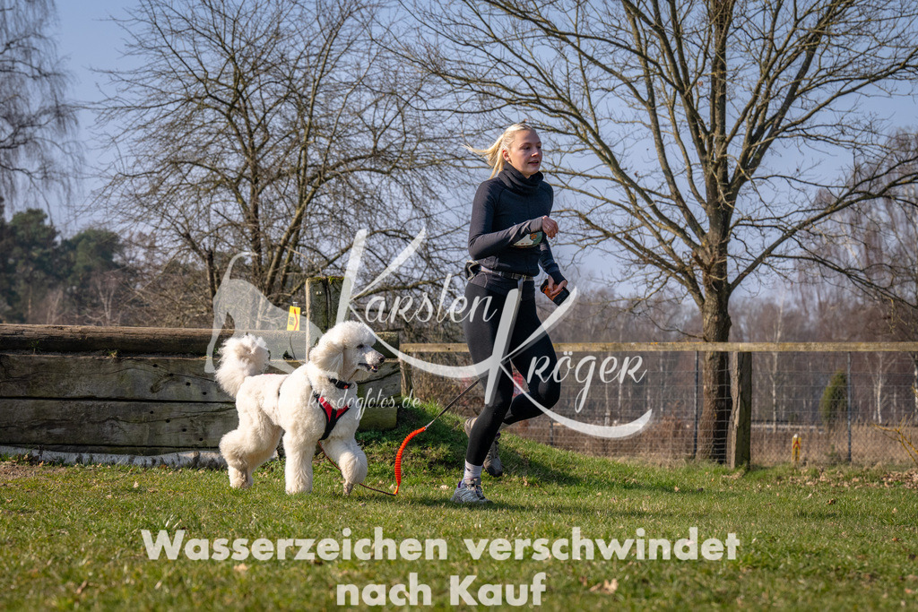 _ZZ94970 | kk-dogfotos