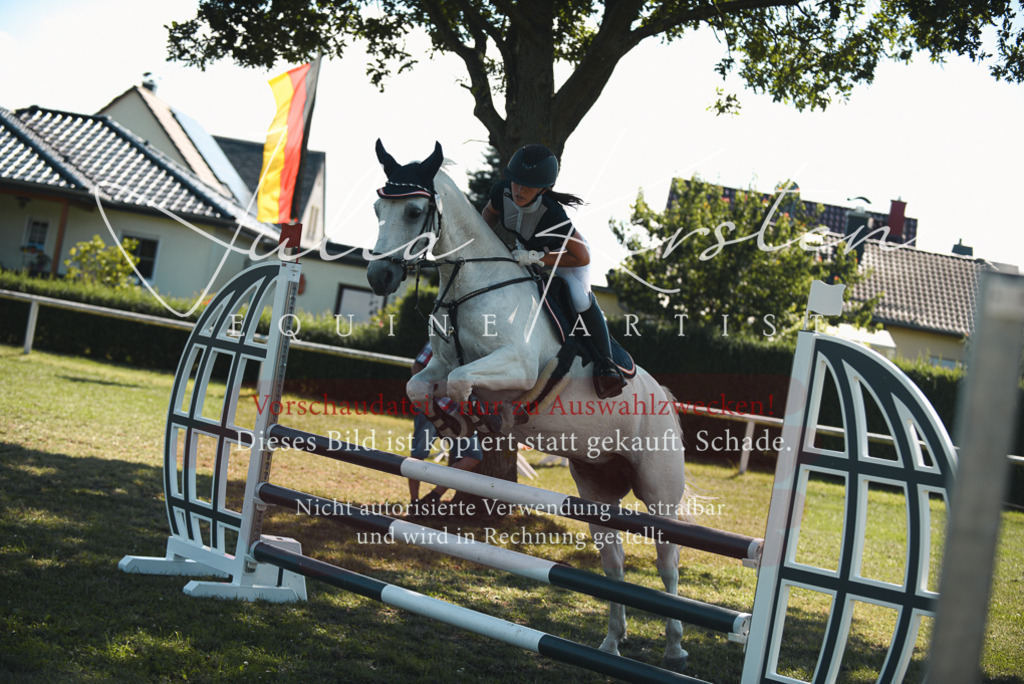 DSC_7257 | Pferde- und Turnierfotografie in Westsachsen. Pferdeportraits, Auftragszeichnungen und intuitive Kunst.