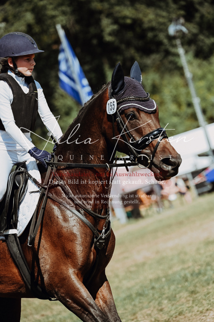 DSC_9787 | Pferde- und Turnierfotografie in Westsachsen. Pferdeportraits, Auftragszeichnungen und intuitive Kunst.