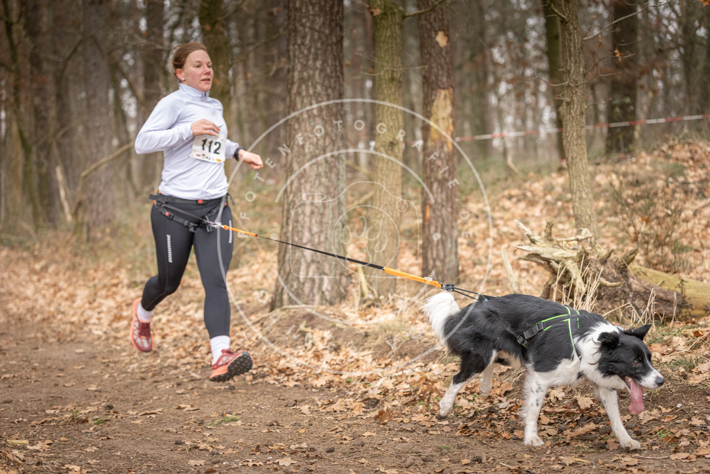 Pfotenfotografie_DV3A7709 | Hundefotografie, Tierfotograf, Pfotenfotografie, Fotoshooting Hund, Hunde Portrait, Hundesport, Hundeportraits, Heideshooting, Hunde, Sportfotograf, Hundefotograf, Turnierhundsport, THS,  - Realisiert mit Pictrs.com