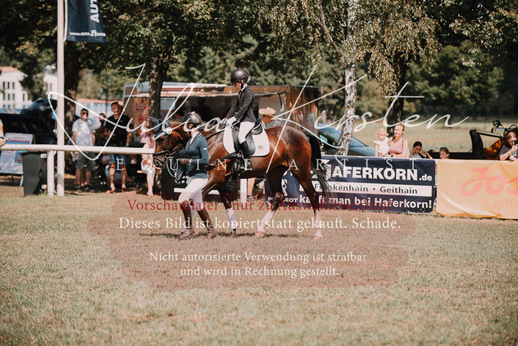 DSC_5989 | Pferde- und Turnierfotografie in Westsachsen. Pferdeportraits, Auftragszeichnungen und intuitive Kunst.