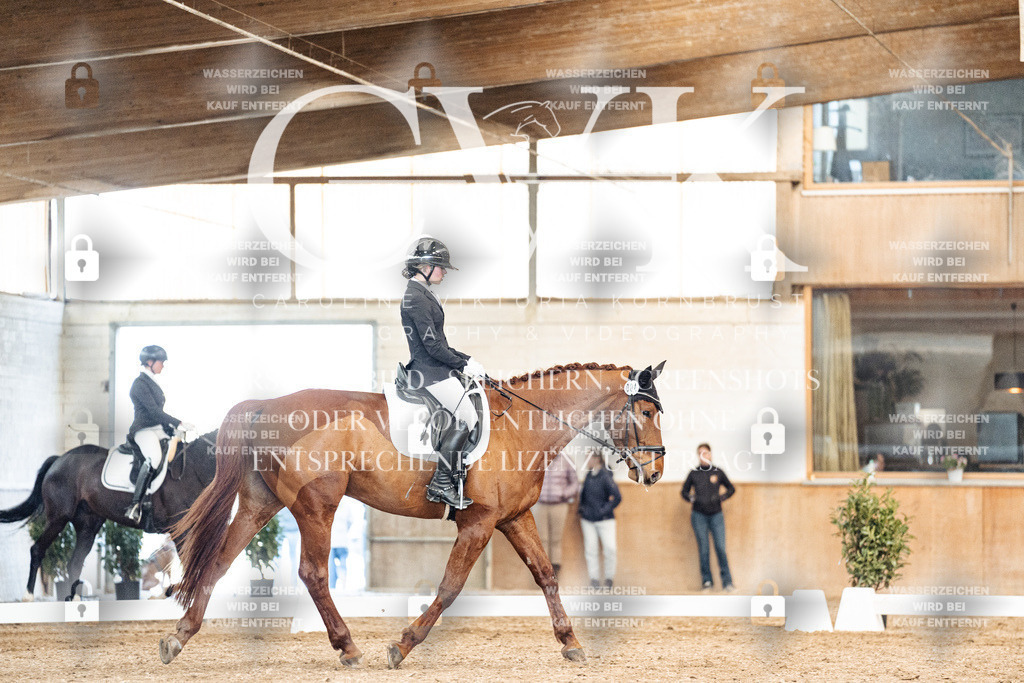 CK901093 | Turnierfotografie Pferdefotografie Trier Rheinland-Pfalz Pferdesport Reitsport Tierfotografie Sportfotografie Pferdevideo Pferdevideografie Equestrianvideography equestrianphotography  - Realisiert mit Pictrs.com