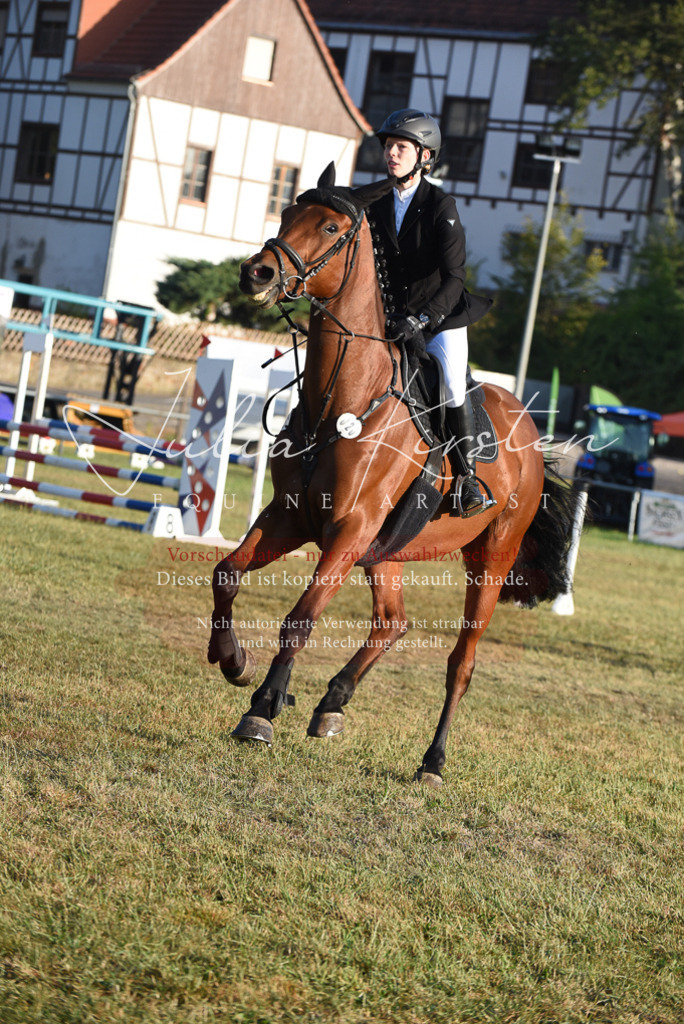 DSC_4815 | Pferde- und Turnierfotografie in Westsachsen. Pferdeportraits, Auftragszeichnungen und intuitive Kunst.