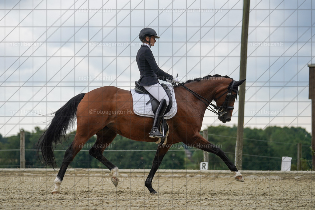 20230826-FAH06215 | Forstinning, 2023, Dressurturnier, Turniersportbilder, Turnierfotografen Bayern, Fotoagentur Herrmann, Reitsportfotografie, Turnierbilder