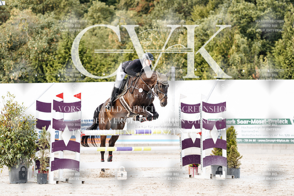 CK903785 | Turnierfotografie Pferdefotografie Trier Rheinland-Pfalz Pferdesport Reitsport Tierfotografie Sportfotografie Pferdevideo Pferdevideografie Equestrianvideography equestrianphotography  - Realisiert mit Pictrs.com