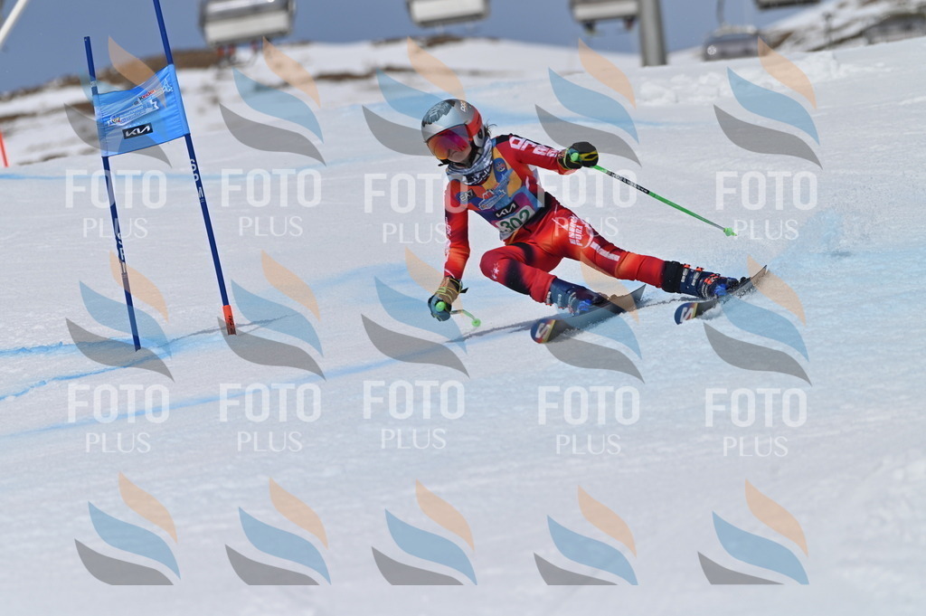 BGV_5999 | holidayphoto