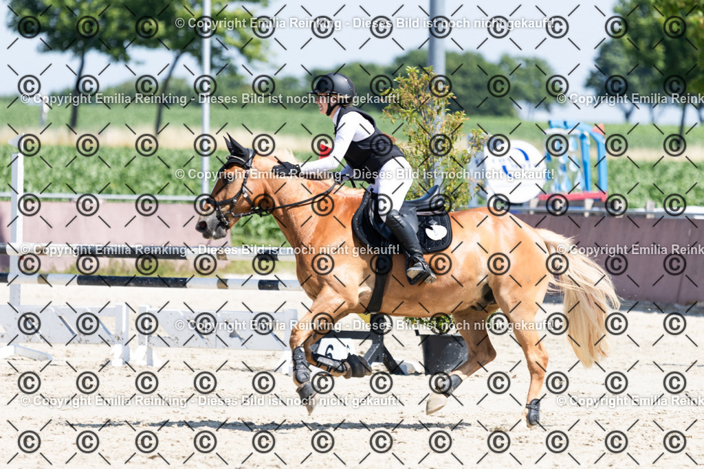 CL5A3265 | Emilia Reinking Fotografie - Realisiert mit Pictrs.com