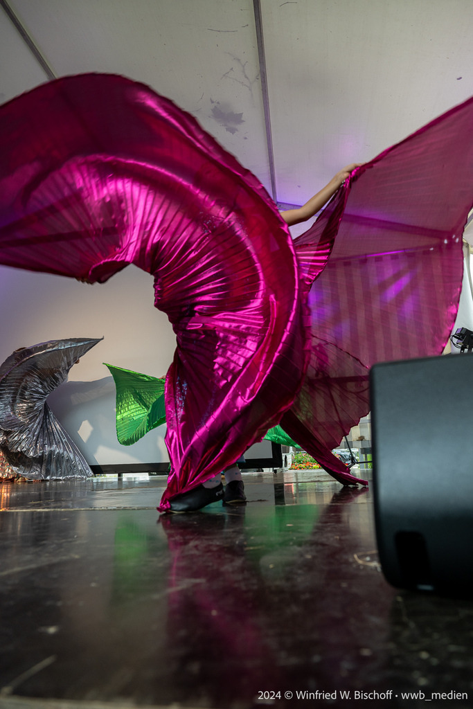 304_DSC_6346 | <Fotografie> <Video> <Film> <Winfried Bischoff> - Realisiert mit Pictrs.com