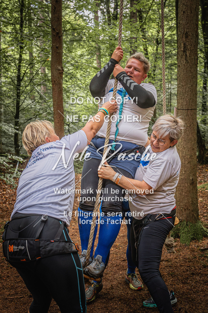 nelerasche_SoWingst1030-1130_197 | nelerasche